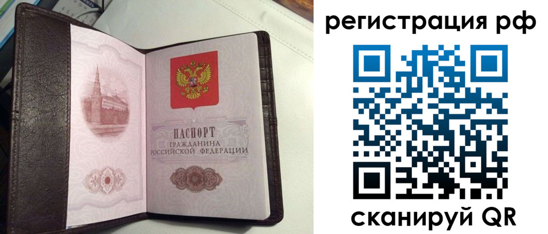 купить прописку в Волосово