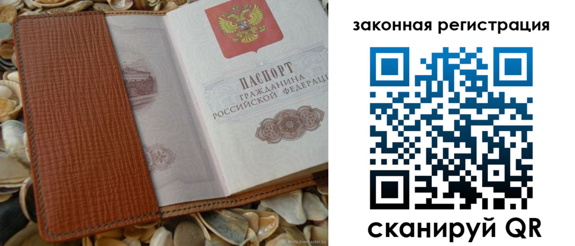 прописка паспорт в Волосово